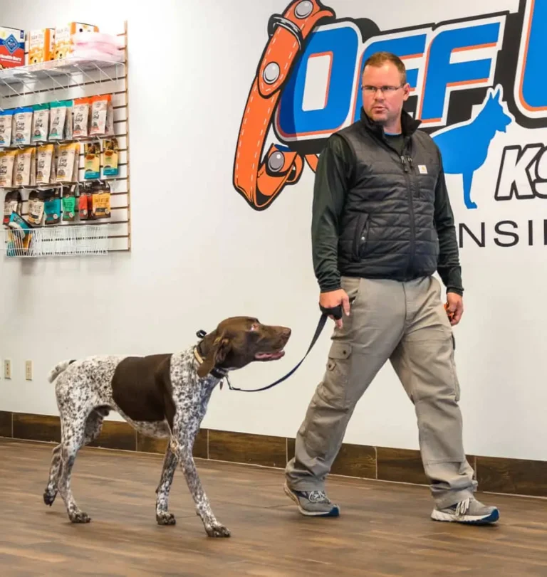 Mike Christie — Off Leash K9 Training of Lansing